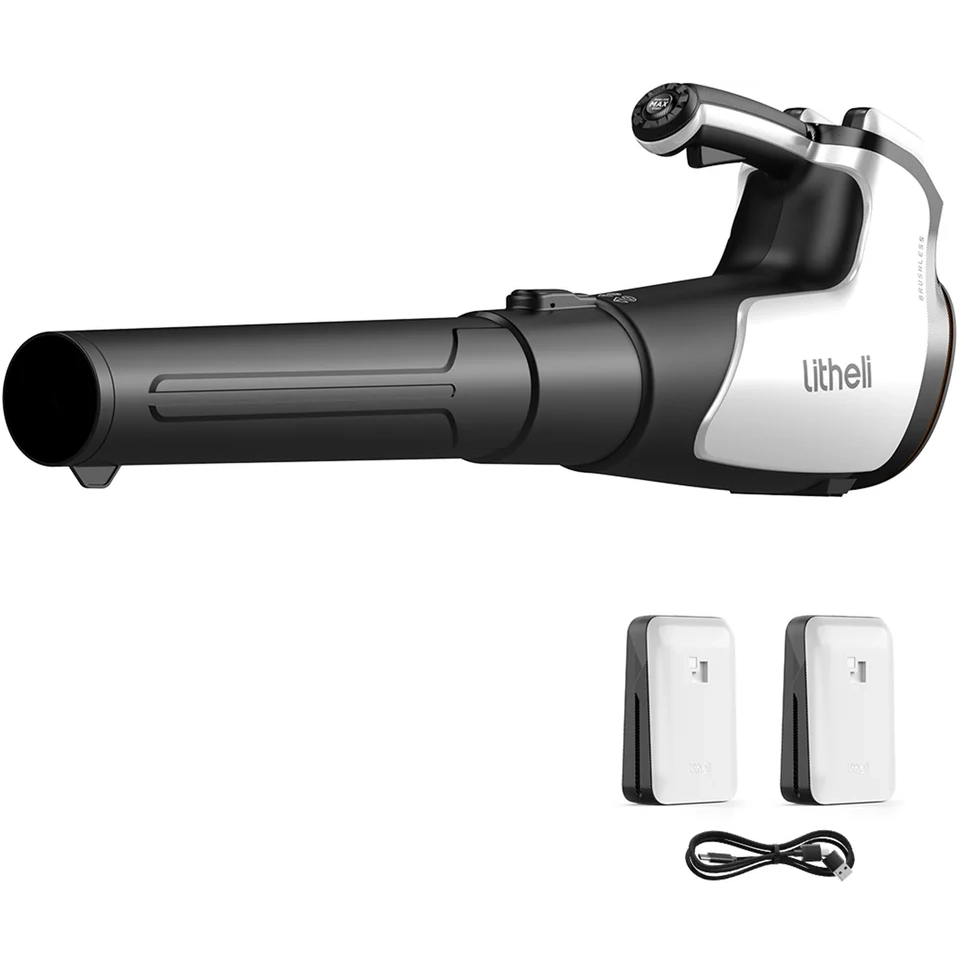 Воздуходувка Litheli U20BR00-0U220 - фото 2