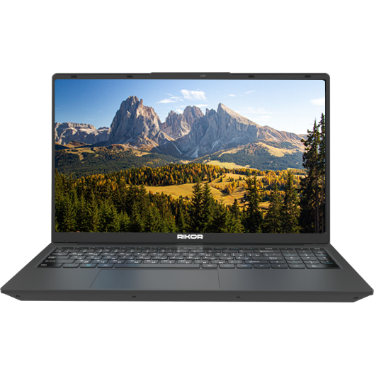 Ноутбук Rikor Pro 5 15 M-01 (A595B93D)