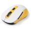 Мышь Gembird MUSW-221-Y - фото 2
