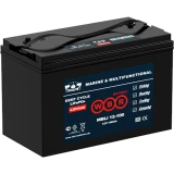 Аккумуляторная батарея WBR MBLi12-100