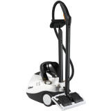 Пароочиститель Bort BDR-2500-RR (91279910)