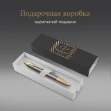 Ручка роллер Parker IM Premium Pioneers T329 (2200955)