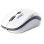 Мышь SmartBuy 344CAG White/Grey - SBM-344CAG-WG - фото 4