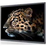 Интерактивный дисплей Maxhub C6530