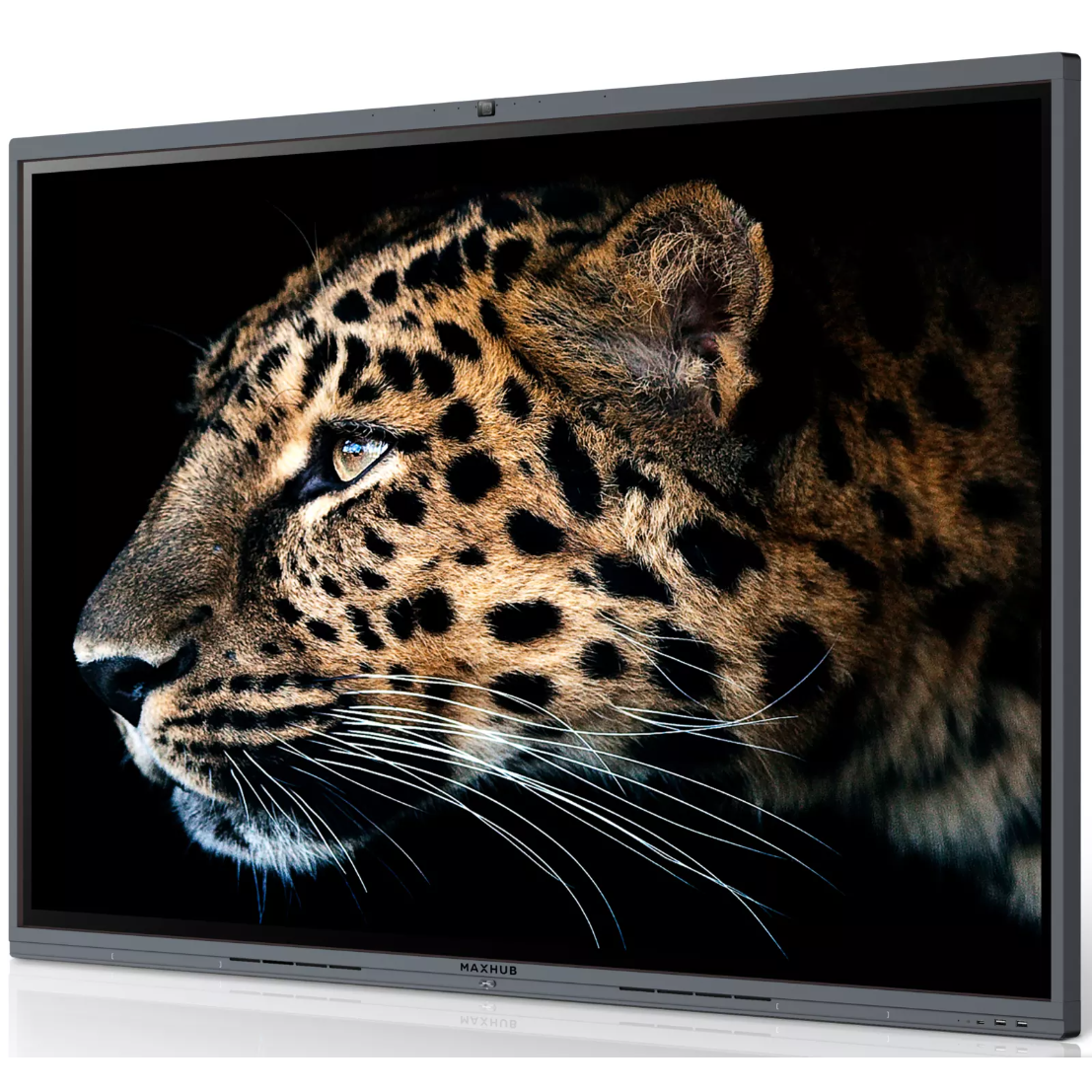 Интерактивный дисплей Maxhub C6530