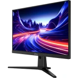 Монитор Dahua 25" LM25-E241B (DHI-LM25-E241B)