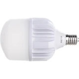 Светодиодная лампочка Gauss Elementary T140 6500K (75 Вт, E40) (60438)