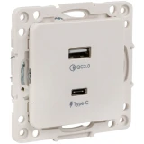 Розетка USB EKF EYR-2USB-type-C