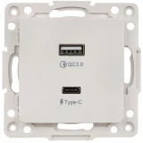 Розетка USB EKF EYR-2USB-type-C