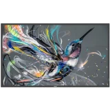 ЖК панель Philips 75" 75BDL3511Q (75BDL3511Q/00)