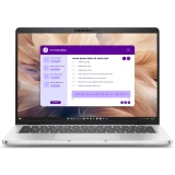 Ноутбук Dell Pro 14 Plus Platinum Silver (PB14250) (5655) (PRO14PL-5655)