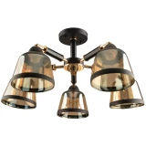 Светильник HIPER Lokko H199-5