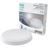 Светильник Gauss 193411215-OAS