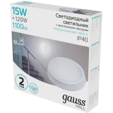 Светильник Gauss 193411215-OAS