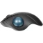 Трекбол Logitech Ergo M575S Black (910-007035) - фото 5