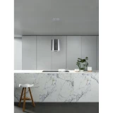 Вытяжка MBS Petunia 135 Island Inox