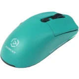 Мышь Raskat MG006TR Green