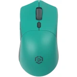 Мышь Raskat MG009WR Green