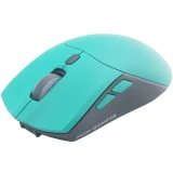 Мышь Raskat MG009WR Green