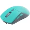 Мышь Raskat MG009WR Green - фото 2