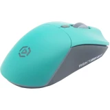 Мышь Raskat MG009WR Green