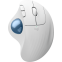 Трекбол Logitech Ergo M575S White (910-007036)