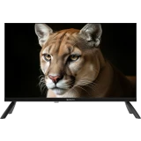 ЖК телевизор TopDevice 24" TDWC24BH1000I Black