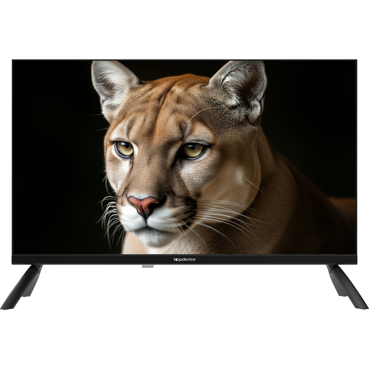 ЖК телевизор TopDevice 24" TDWC24BH1000I Black