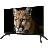 ЖК телевизор TopDevice 24" TDWC24BH1000I Black