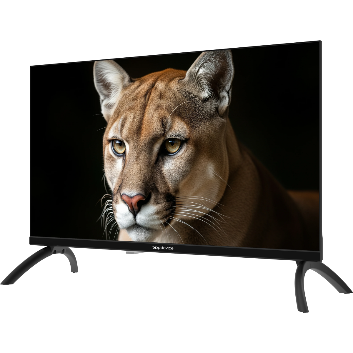 ЖК телевизор TopDevice 24" TDWC24BH1000I Black - фото 2