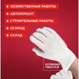 Перчатки защитные Rexant 09-0202-2