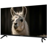 ЖК телевизор TopDevice 32" TDWC32BH2210V Black