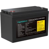 Аккумуляторная батарея MARSRIVA MR-LBP12-100-LAR