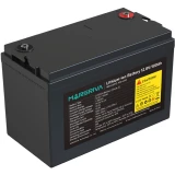 Аккумуляторная батарея MARSRIVA MR-LBP12-100-LAR