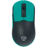 Мышь Raskat MG027TR Black/Green