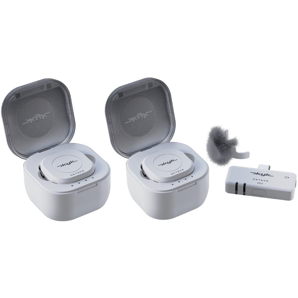 Микрофонная система Октава ЖУК-2-Б