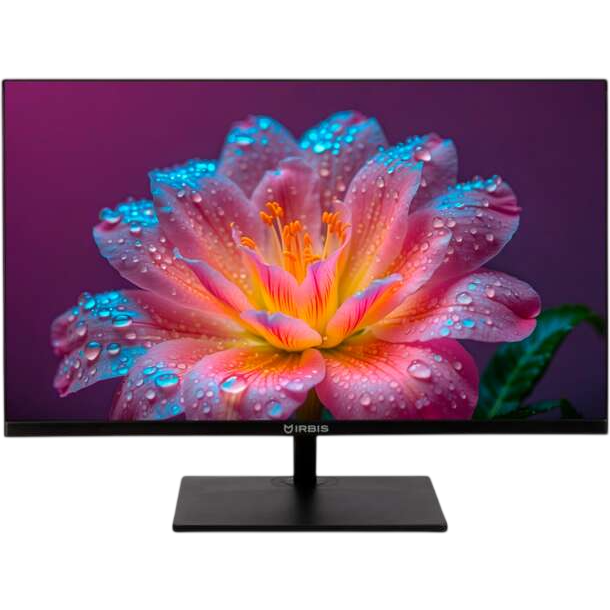Монитор IRBIS 24" Mir View (R24FIDS123.100_MIR)