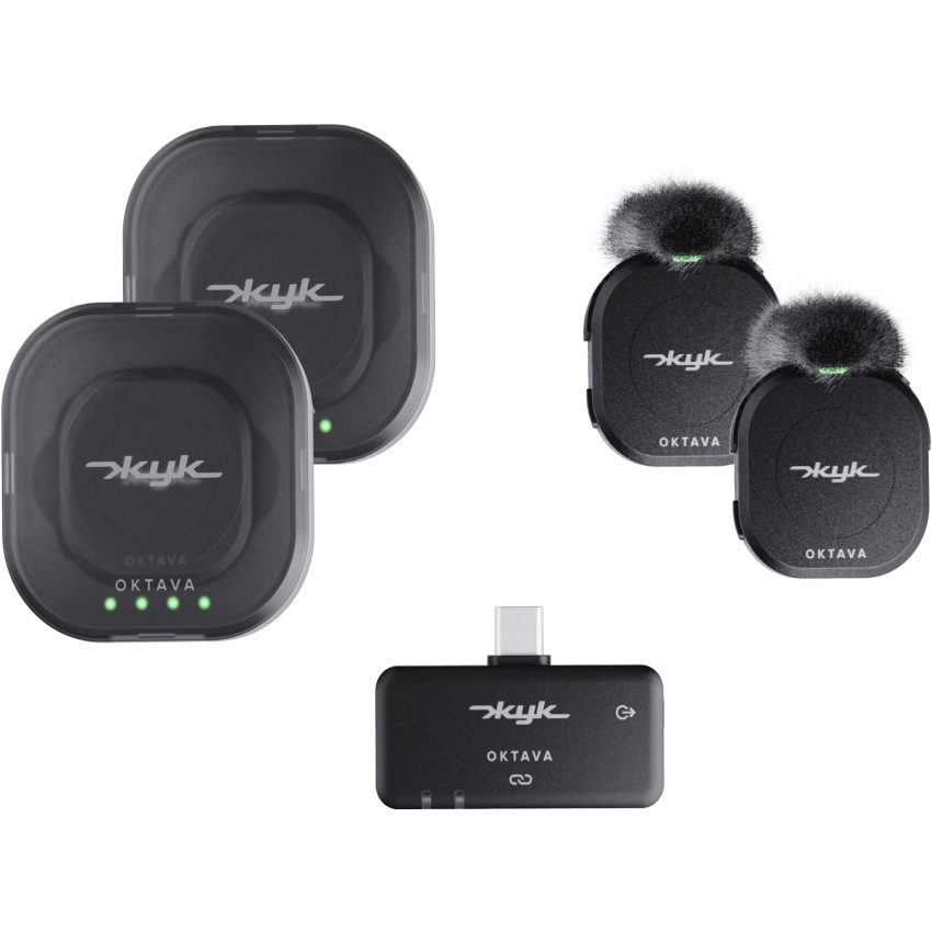 Микрофонная система Октава ЖУК-2-Ч