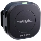 Микрофонная система Октава ЖУК-2-Ч