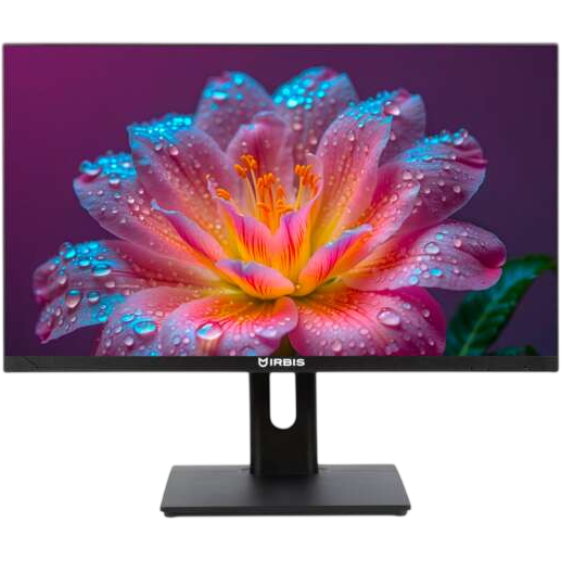 Монитор IRBIS 24" SmartView 24 (ISM24FIDR_U)