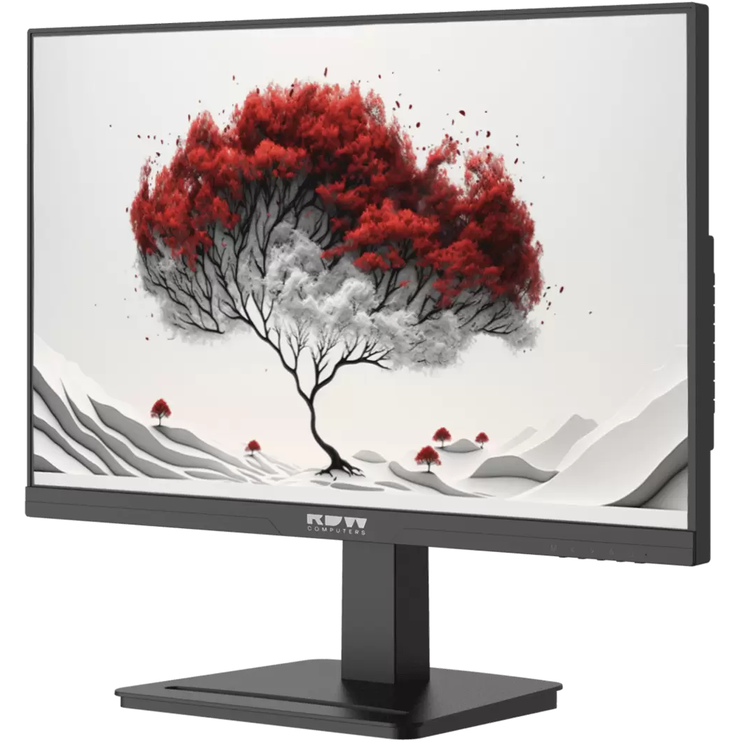 Монитор RDW Computers 24" 2401K (F05B3100V2A1H) - 2401K/F05B3100V2A1H - фото 2