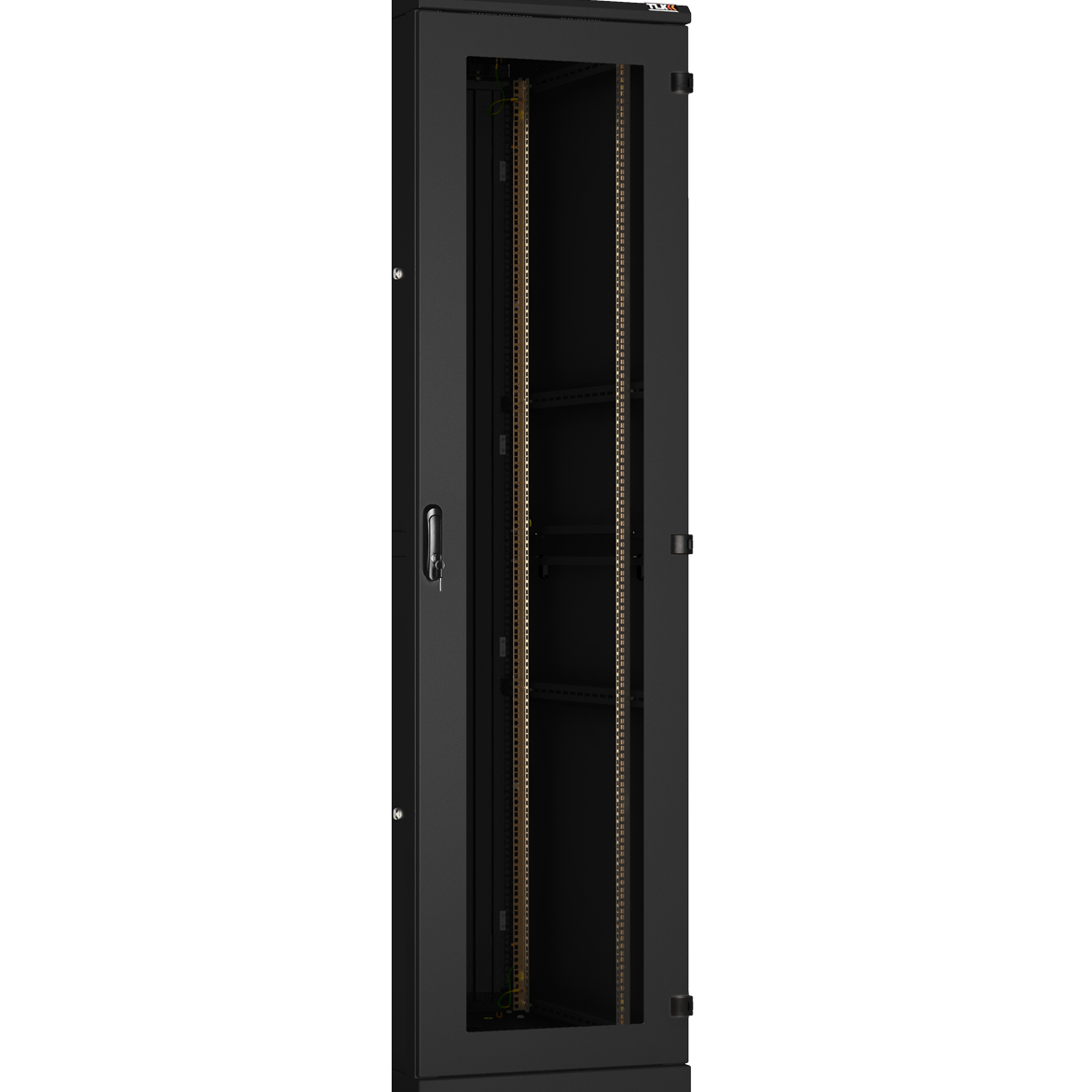 Дверь для шкафа TLK TFA-4760-G-R-BK - фото 2