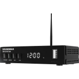 ТВ-тюнер Soundmax SM-DVBT284
