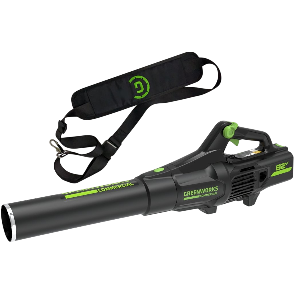 Воздуходувка Greenworks 2407007