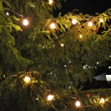 Гирлянда Gauss GS032