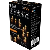 Гирлянда Gauss GS032