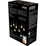 Гирлянда Gauss GS032