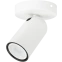 Светильник Philips PONGEE single spot white 1xNW 230V - 915005530501