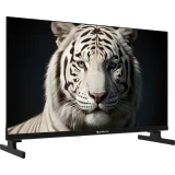 ЖК телевизор TopDevice 24" TDWC24BH5260V Black