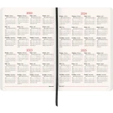 Ежедневник BRAUBERG 113284